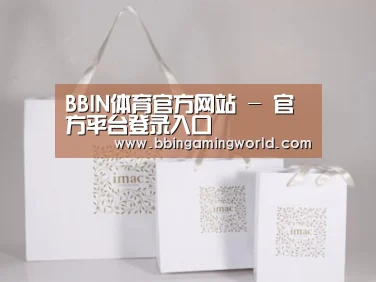项目名称十一