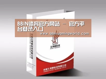 项目名称十三